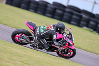 PJ-Motorsport-2019;anglesey-no-limits-trackday;anglesey-photographs;anglesey-trackday-photographs;enduro-digital-images;event-digital-images;eventdigitalimages;no-limits-trackdays;peter-wileman-photography;racing-digital-images;trac-mon;trackday-digital-images;trackday-photos;ty-croes